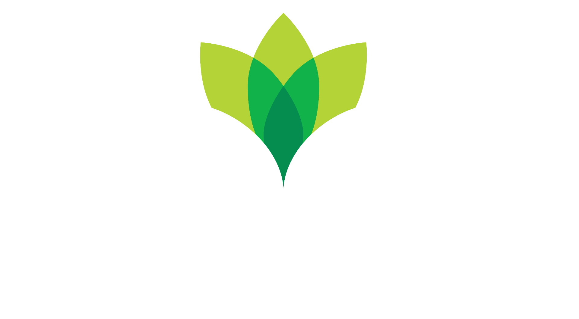 לאומית